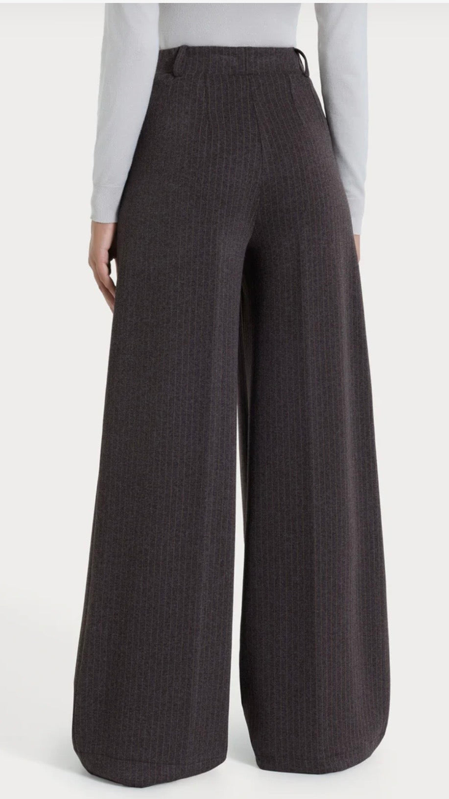 Pantalone Palazzo gessato RAGNO